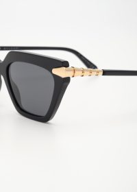 BV40031I-01A_PMS_6478